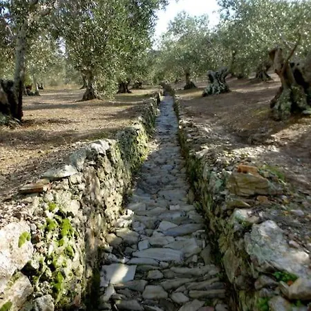 Διαμέρισμα La Pedrera *