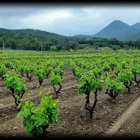 Διαμέρισμα La Pedrera *